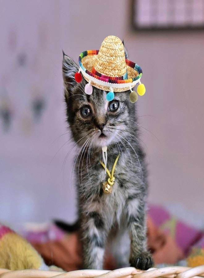 ALIBBON Mini Sombrero Straw Hat - Multicolor Dog & Cat Hat for Mexican Fiesta - Image 5